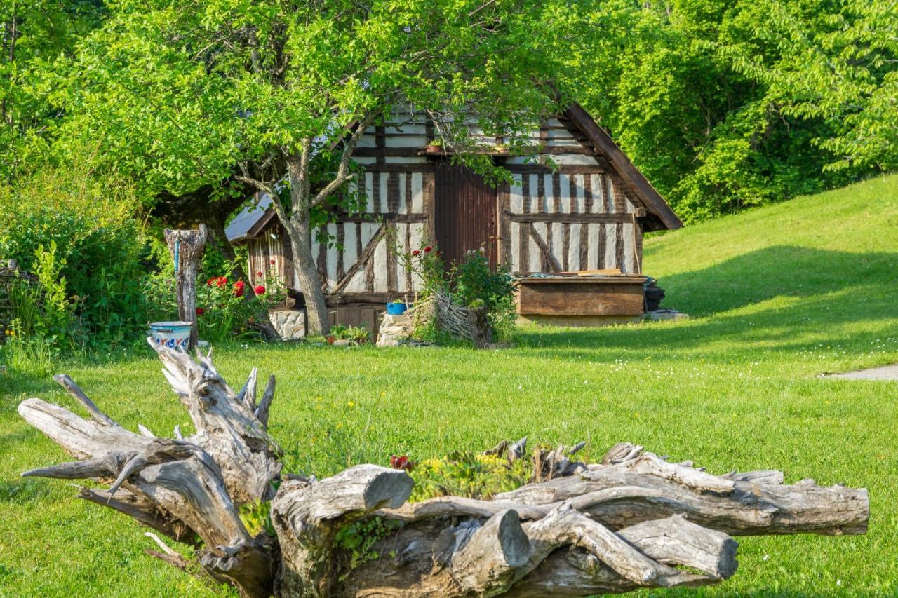 فيلا Djurdjevina Family Farm Kolašin المظهر الخارجي الصورة