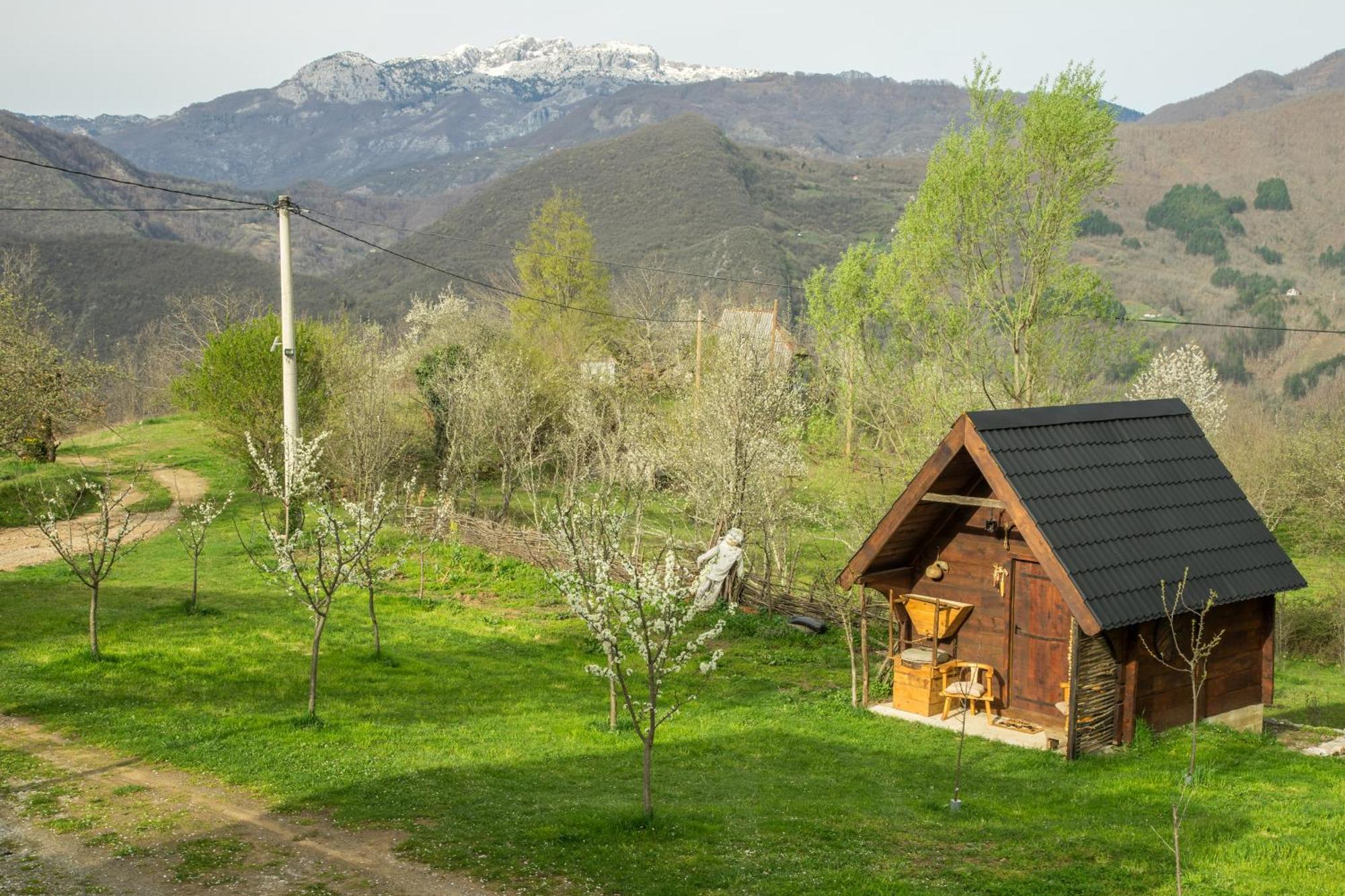 فيلا Djurdjevina Family Farm Kolašin المظهر الخارجي الصورة