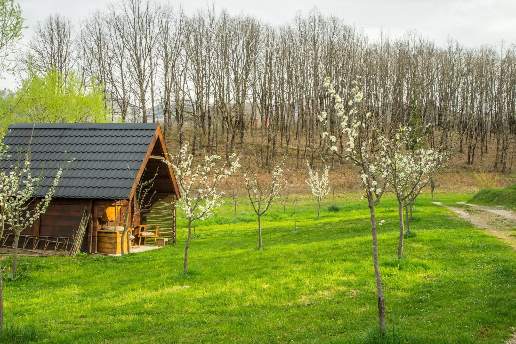 فيلا Djurdjevina Family Farm Kolašin المظهر الخارجي الصورة