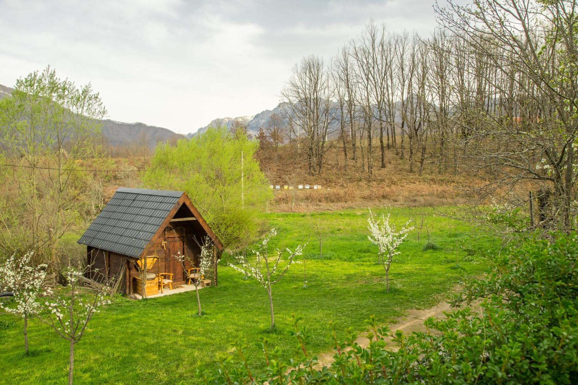 فيلا Djurdjevina Family Farm Kolašin الغرفة الصورة