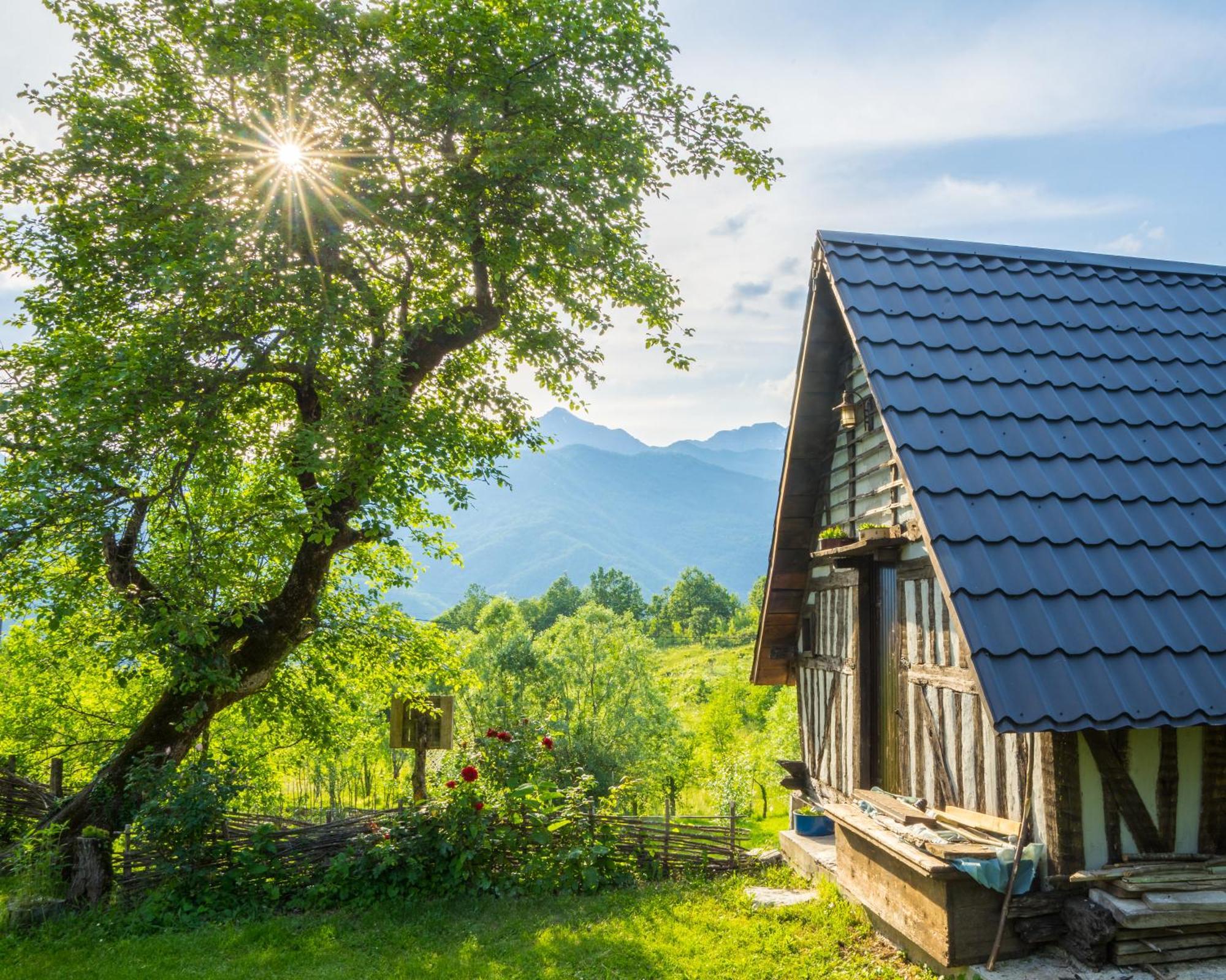 فيلا Djurdjevina Family Farm Kolašin الغرفة الصورة